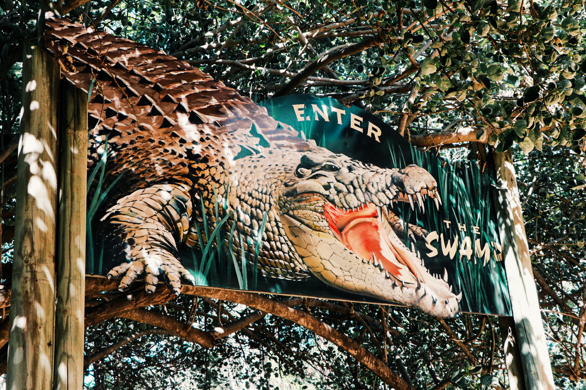 https://mdw-travel-data-us-east-1.s3.amazonaws.com/img/country/Australia/Billabong-Sanctuary/img_02.jpg