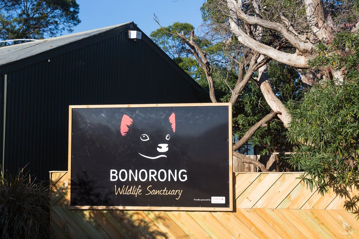 https://mdw-travel-data-us-east-1.s3.amazonaws.com/img/country/Australia/Bonorong-Wildlife-Sanctuary/img_01.jpg