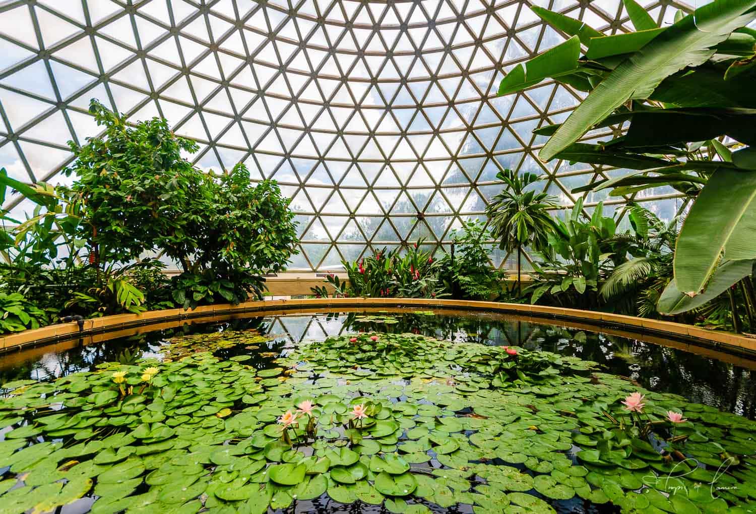 https://mdw-travel-data-us-east-1.s3.amazonaws.com/img/country/Australia/Brisbane-Botanic-Gardens-Mt-Coot-tha/img_03.jpg