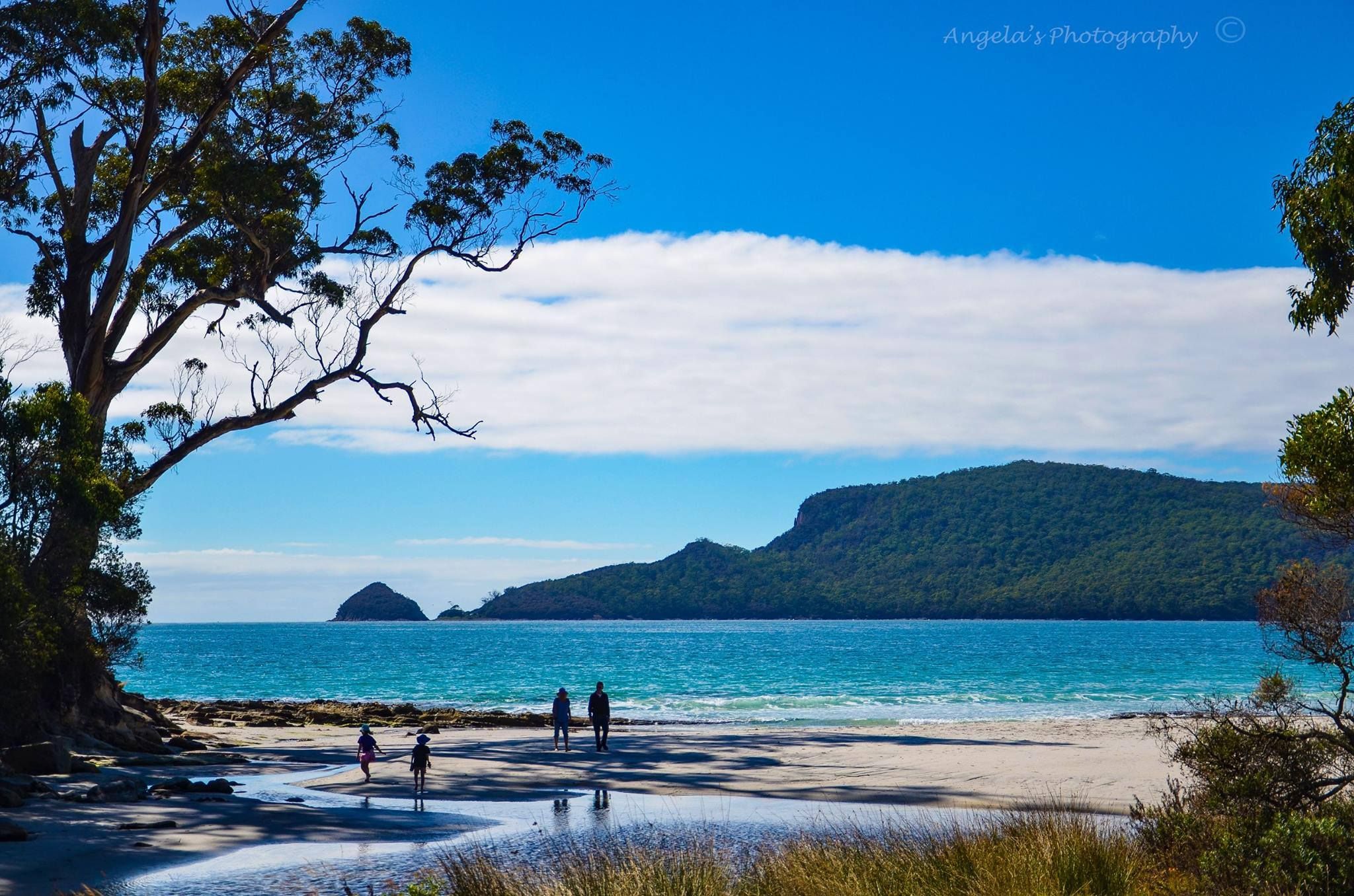 https://mdw-travel-data-us-east-1.s3.amazonaws.com/img/country/Australia/Bruny-Island/img_01.jpg