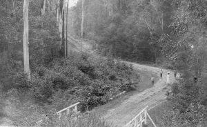 https://mdw-travel-data-us-east-1.s3.amazonaws.com/img/country/Australia/Bruxner-Park-Flora-Reserve/img_00.jpg