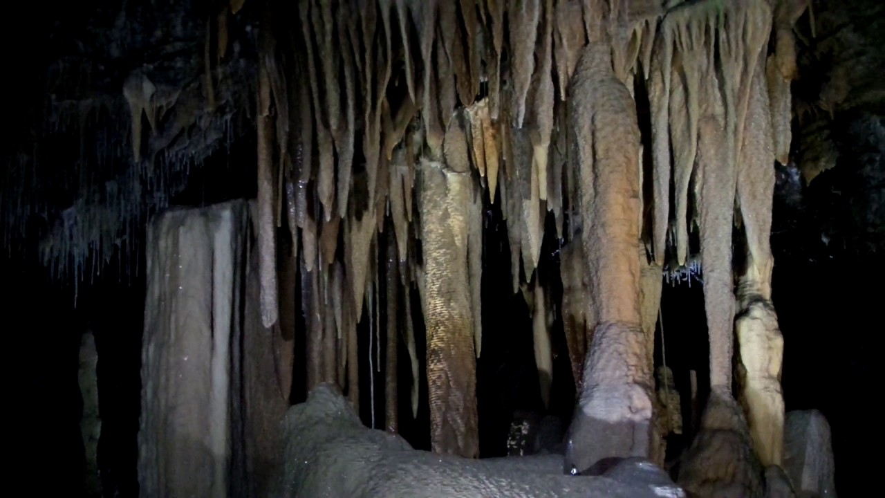 https://mdw-travel-data-us-east-1.s3.amazonaws.com/img/country/Australia/Buchan-Caves/img_01.jpg
