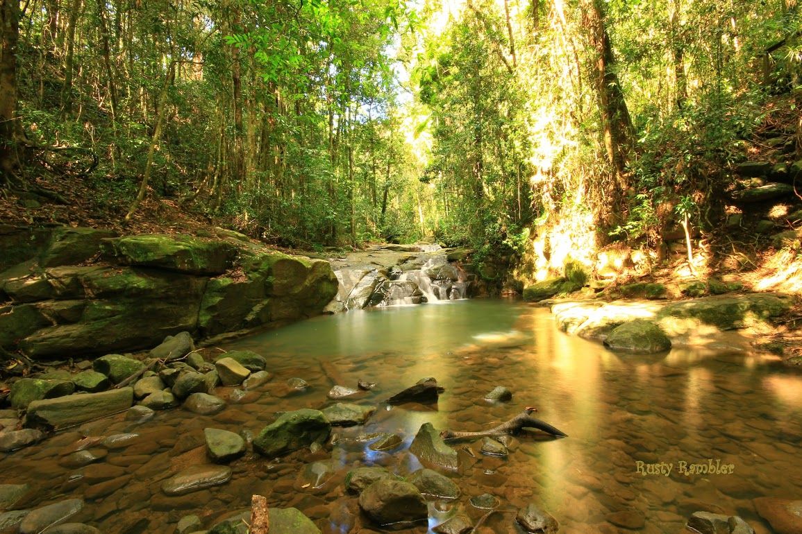https://mdw-travel-data-us-east-1.s3.amazonaws.com/img/country/Australia/Buderim-Forest-Park/img_02.jpg