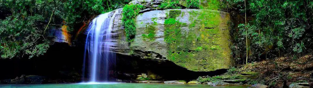 https://mdw-travel-data-us-east-1.s3.amazonaws.com/img/country/Australia/Buderim-Forest-Park/img_03.jpg