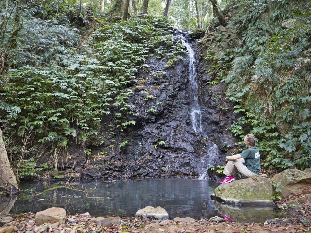 https://mdw-travel-data-us-east-1.s3.amazonaws.com/img/country/Australia/Bunya-Mountains-National-Park/img_02.jpg
