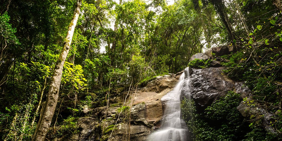 https://mdw-travel-data-us-east-1.s3.amazonaws.com/img/country/Australia/Bunya-Mountains-National-Park/img_04.jpg