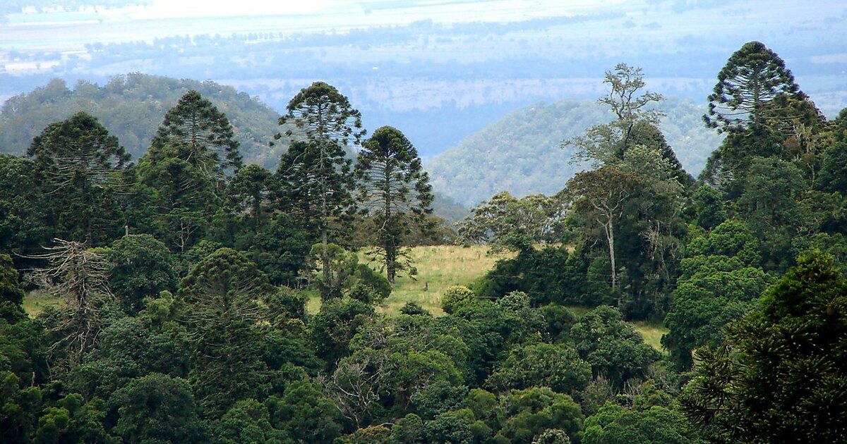 https://mdw-travel-data-us-east-1.s3.amazonaws.com/img/country/Australia/Bunya-Mountains-National-Park/img_05.jpg