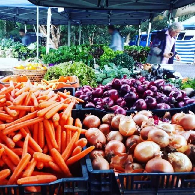 https://mdw-travel-data-us-east-1.s3.amazonaws.com/img/country/Australia/Byron-Bay-Farmers-Market/img_01.jpg