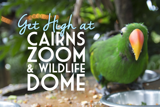 https://mdw-travel-data-us-east-1.s3.amazonaws.com/img/country/Australia/Cairns-Zoom-and-Wildlife-Dome/img_02.jpg