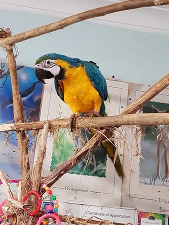 https://mdw-travel-data-us-east-1.s3.amazonaws.com/img/country/Australia/Cooberrie-Park-Wildlife-Sanctuary/img_01.jpg