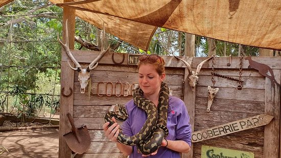 https://mdw-travel-data-us-east-1.s3.amazonaws.com/img/country/Australia/Cooberrie-Park-Wildlife-Sanctuary/img_03.jpg