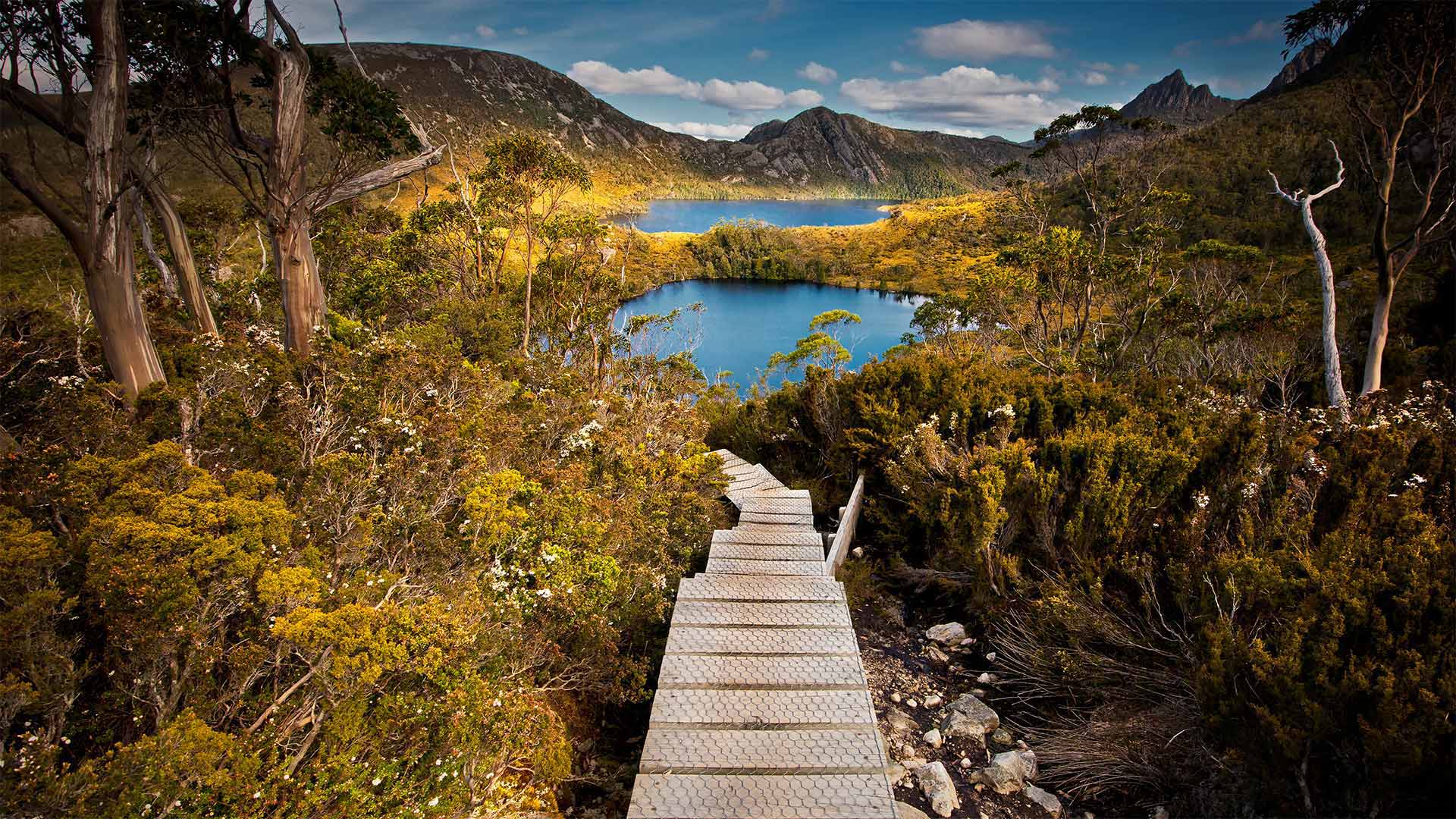 https://mdw-travel-data-us-east-1.s3.amazonaws.com/img/country/Australia/Cradle-Mountain-Lake-St-Clair-National-Park/img_05.jpg