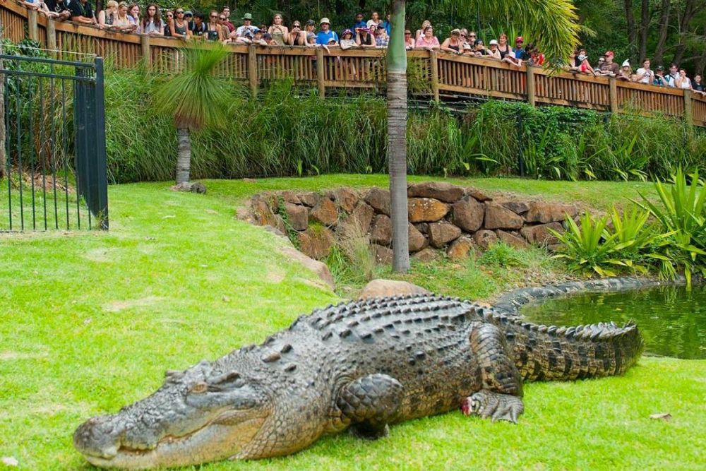 https://mdw-travel-data-us-east-1.s3.amazonaws.com/img/country/Australia/Currumbin-Wildlife-Sanctuary/img_01.jpg