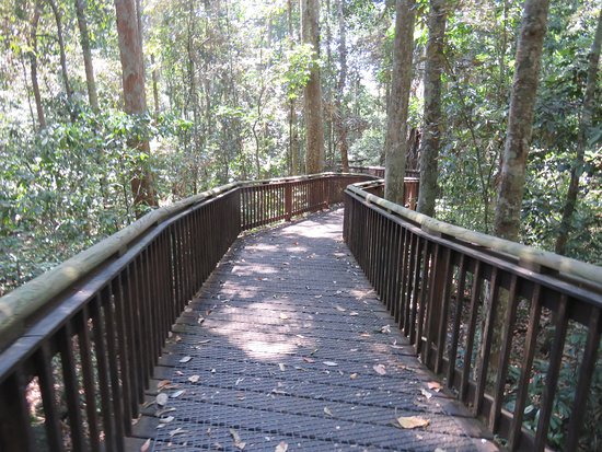 https://mdw-travel-data-us-east-1.s3.amazonaws.com/img/country/Australia/Curtain-Fig-National-Park/img_03.jpg