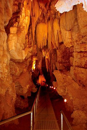 https://mdw-travel-data-us-east-1.s3.amazonaws.com/img/country/Australia/Cutta-Cutta-Caves-Nature-Park/img_05.jpg