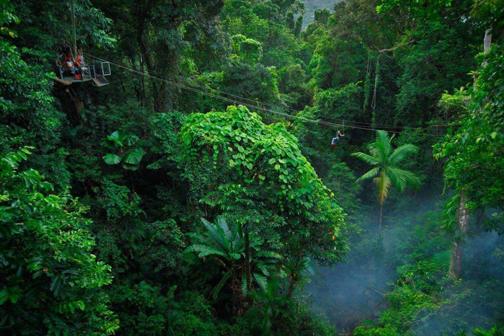 https://mdw-travel-data-us-east-1.s3.amazonaws.com/img/country/Australia/Daintree-Rainforest/img_02.jpg