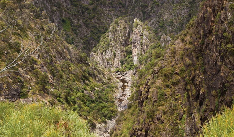 https://mdw-travel-data-us-east-1.s3.amazonaws.com/img/country/Australia/Dangars-Falls/img_02.jpg