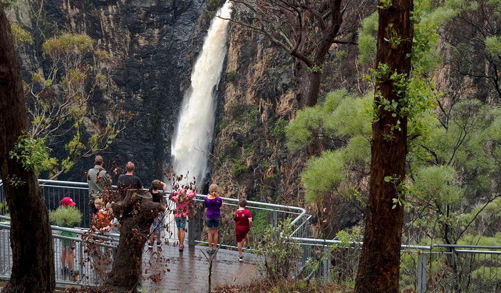 https://mdw-travel-data-us-east-1.s3.amazonaws.com/img/country/Australia/Dangars-Falls/img_04.jpg