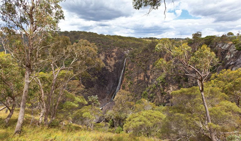 https://mdw-travel-data-us-east-1.s3.amazonaws.com/img/country/Australia/Dangars-Falls/img_05.jpg