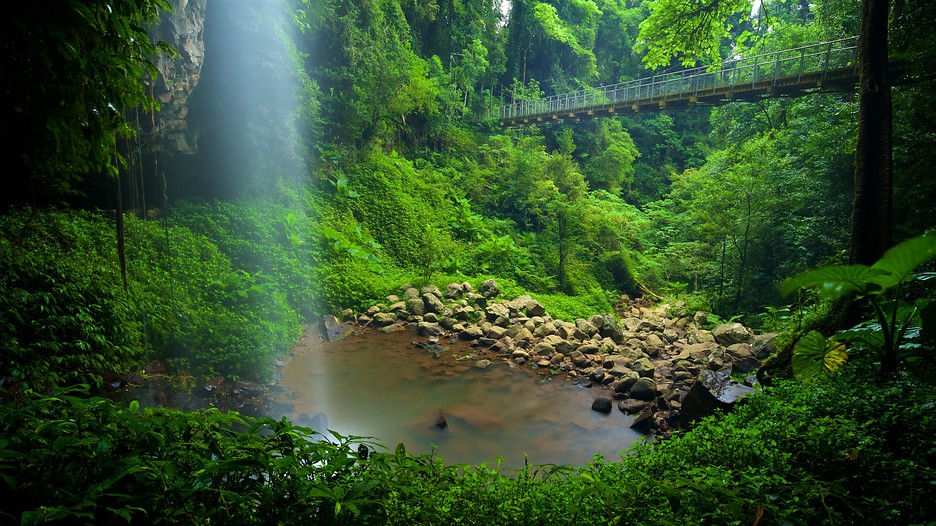 https://mdw-travel-data-us-east-1.s3.amazonaws.com/img/country/Australia/Dorrigo-National-Park/img_05.jpg