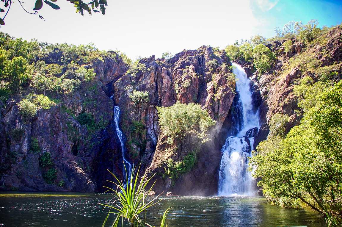https://mdw-travel-data-us-east-1.s3.amazonaws.com/img/country/Australia/Florence-Falls/img_01.jpg
