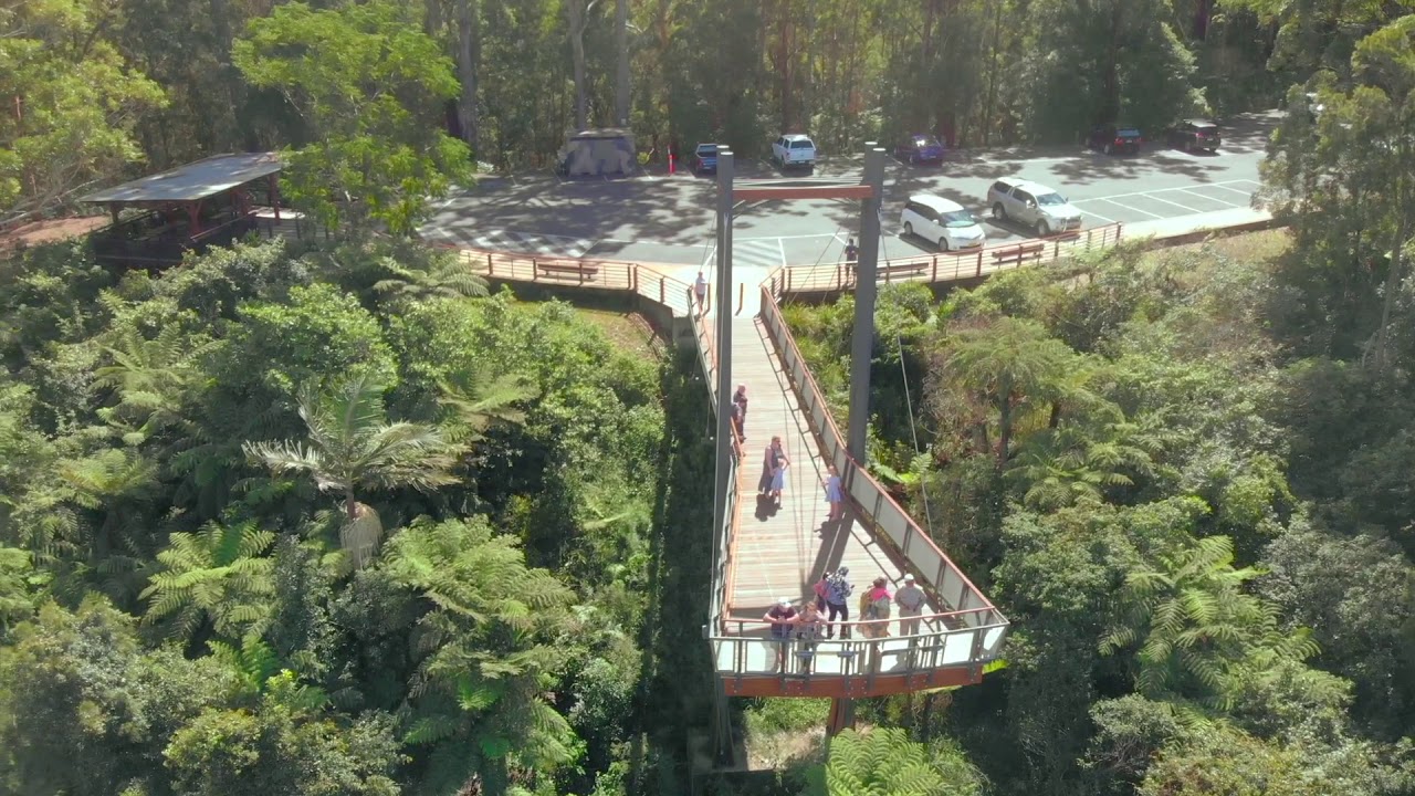 https://mdw-travel-data-us-east-1.s3.amazonaws.com/img/country/Australia/Forest-Sky-Pier/img_03.jpg