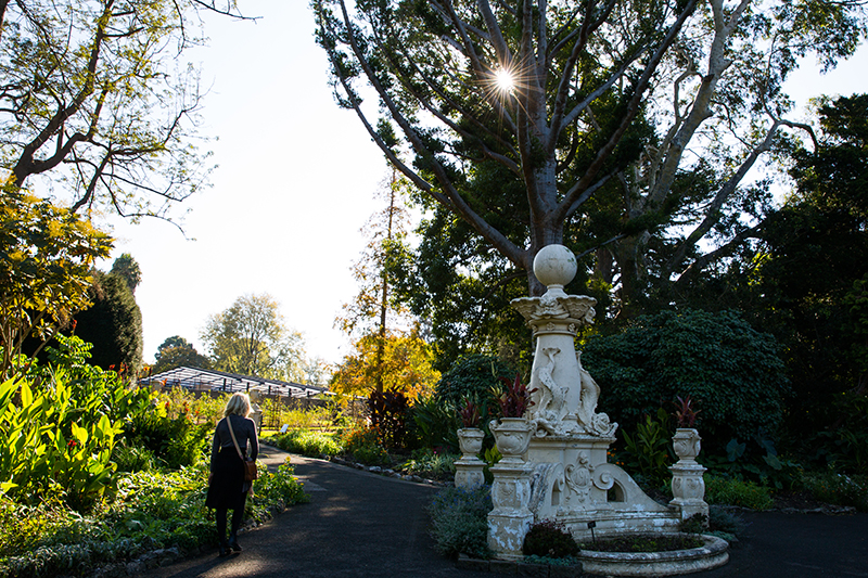 https://mdw-travel-data-us-east-1.s3.amazonaws.com/img/country/Australia/Geelong-Botanic-Gardens/img_03.jpg