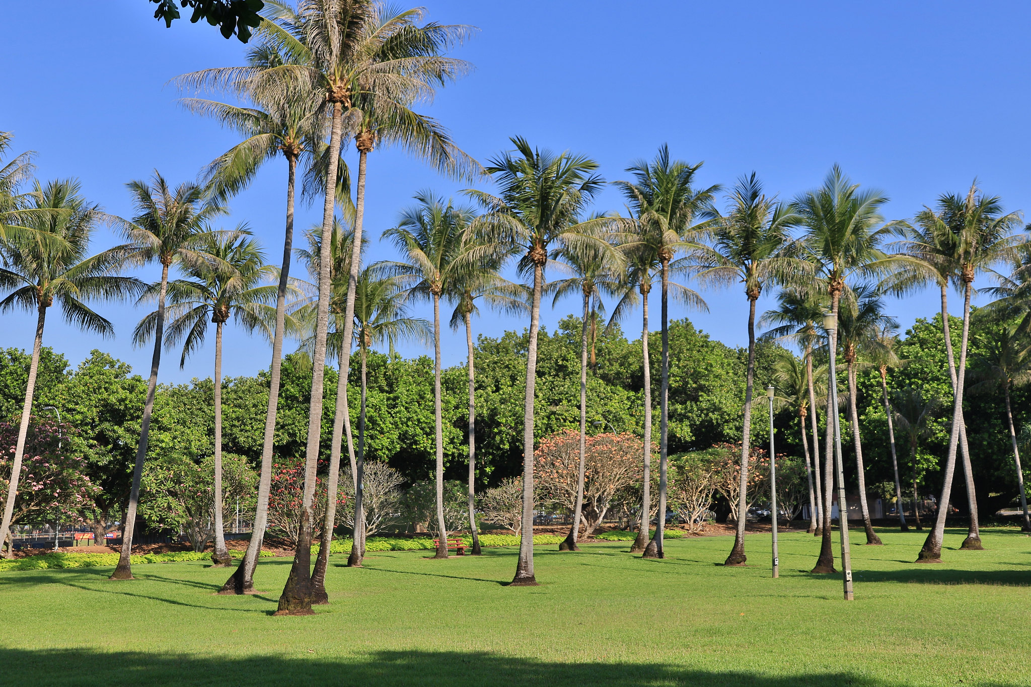https://mdw-travel-data-us-east-1.s3.amazonaws.com/img/country/Australia/George-Brown-Darwin-Botanic-Gardens/img_01.jpg