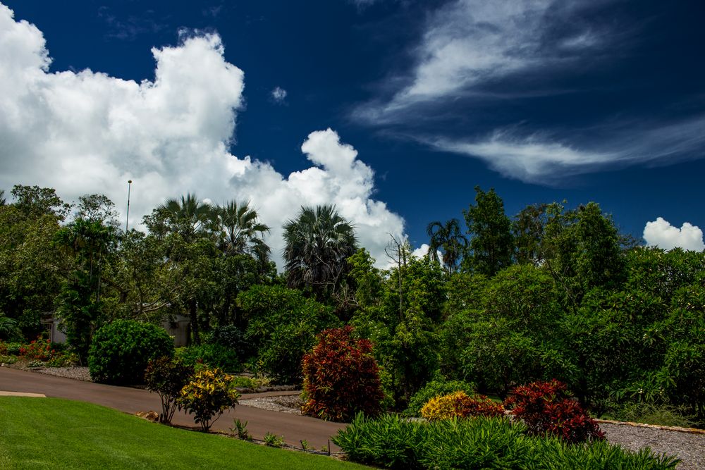 https://mdw-travel-data-us-east-1.s3.amazonaws.com/img/country/Australia/George-Brown-Darwin-Botanic-Gardens/img_02.jpg