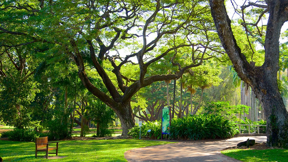 https://mdw-travel-data-us-east-1.s3.amazonaws.com/img/country/Australia/George-Brown-Darwin-Botanic-Gardens/img_03.jpg