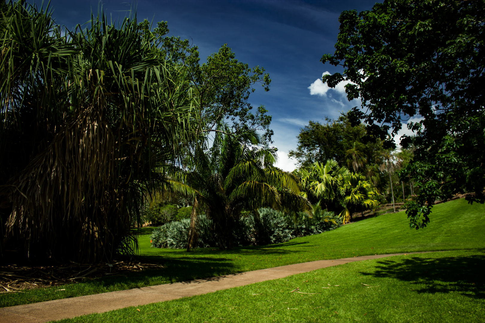 https://mdw-travel-data-us-east-1.s3.amazonaws.com/img/country/Australia/George-Brown-Darwin-Botanic-Gardens/img_04.jpg