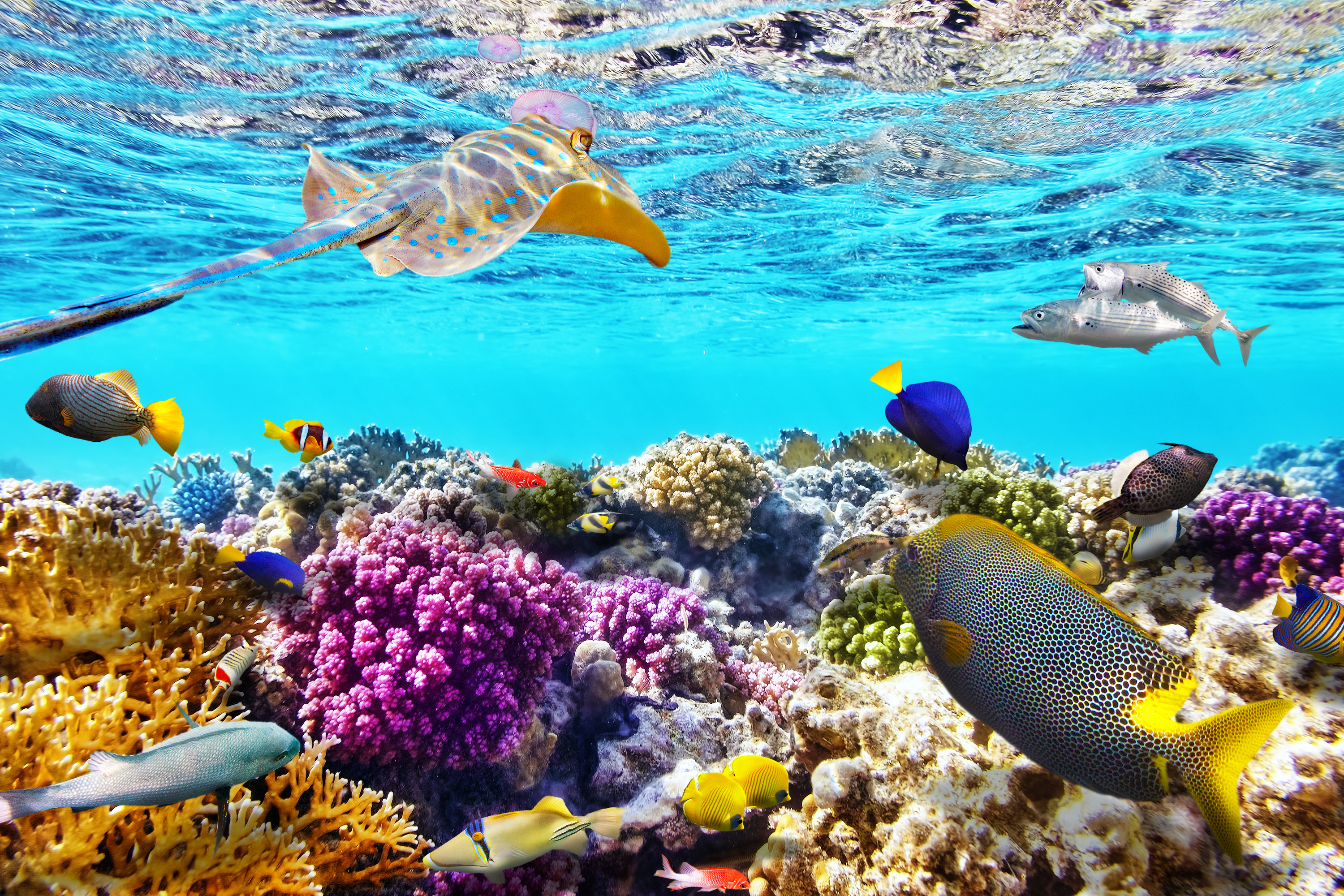 https://mdw-travel-data-us-east-1.s3.amazonaws.com/img/country/Australia/Great-Barrier-Reef-Marine-Park/img_01.jpg