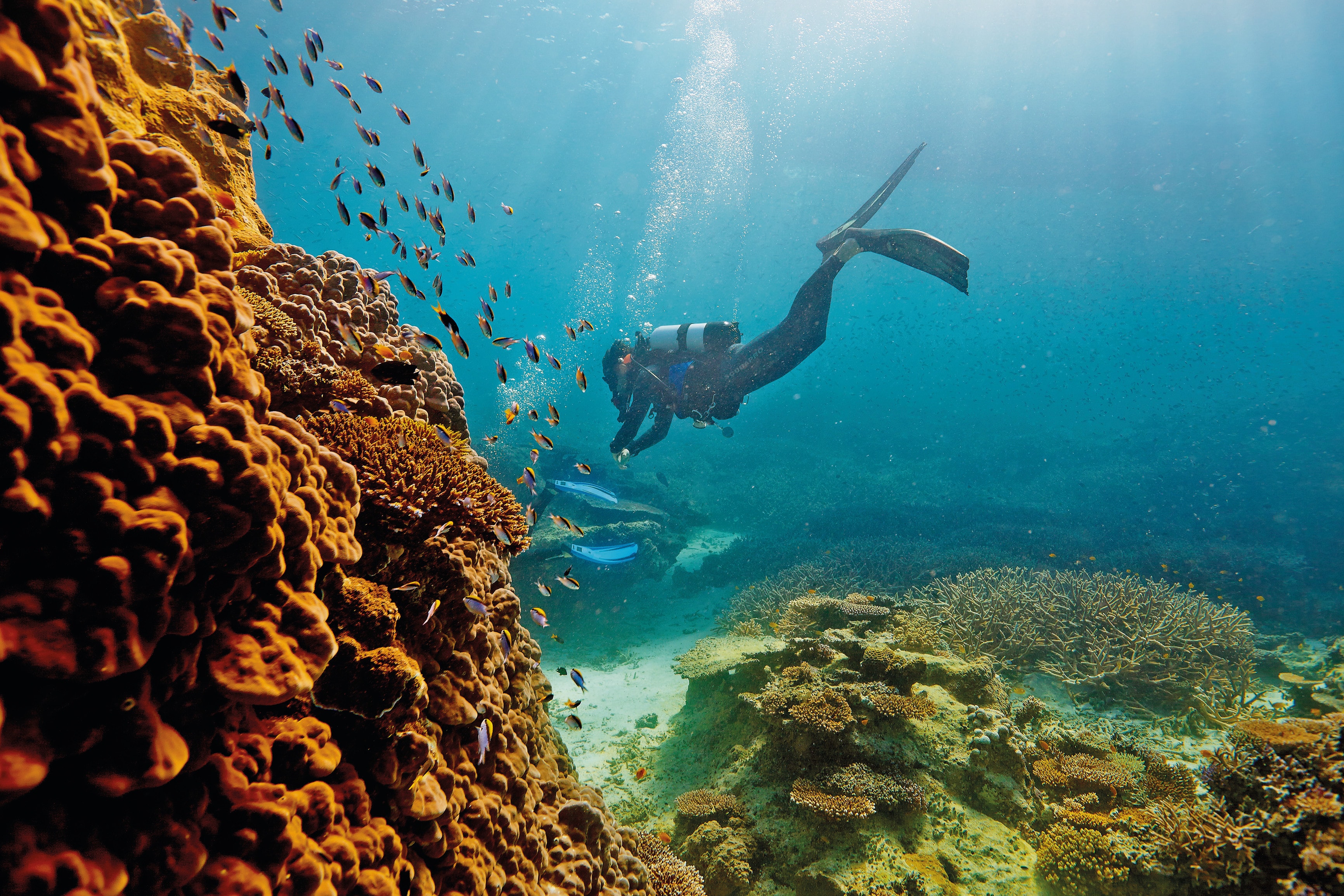 https://mdw-travel-data-us-east-1.s3.amazonaws.com/img/country/Australia/Great-Barrier-Reef-Marine-Park/img_05.jpg