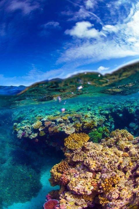 https://mdw-travel-data-us-east-1.s3.amazonaws.com/img/country/Australia/Great-Barrier-Reef/img_03.jpg