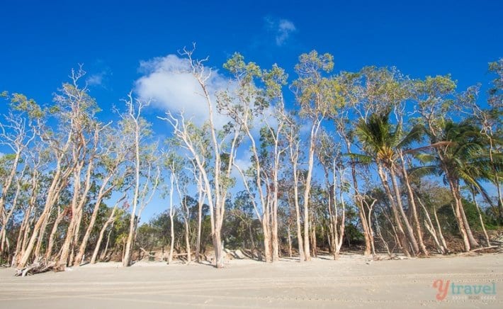 https://mdw-travel-data-us-east-1.s3.amazonaws.com/img/country/Australia/Great-Keppel-Island/img_04.jpg