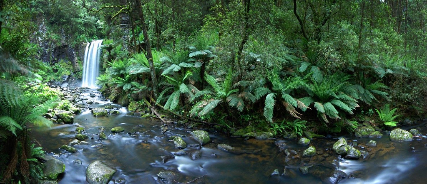 https://mdw-travel-data-us-east-1.s3.amazonaws.com/img/country/Australia/Great-Otway-National-Park/img_01.jpg