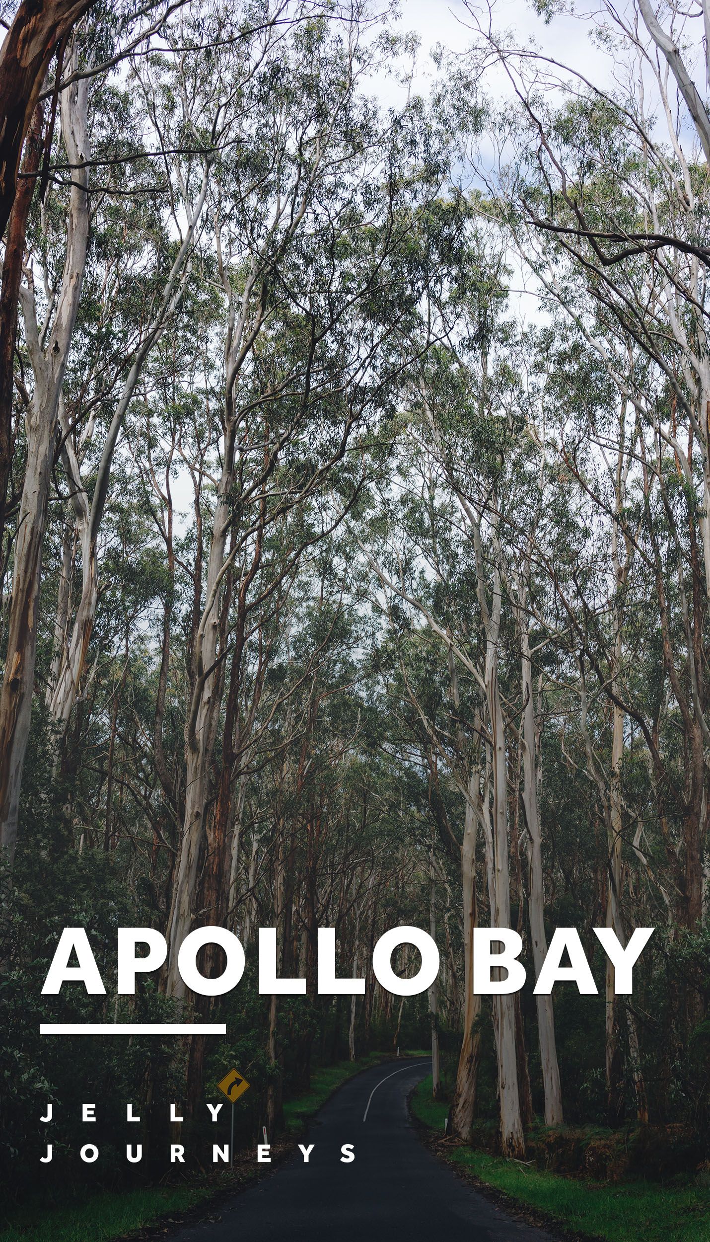 https://mdw-travel-data-us-east-1.s3.amazonaws.com/img/country/Australia/Great-Otway-National-Park/img_02.jpg