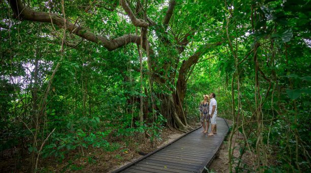 https://mdw-travel-data-us-east-1.s3.amazonaws.com/img/country/Australia/Green-Island/img_02.jpg