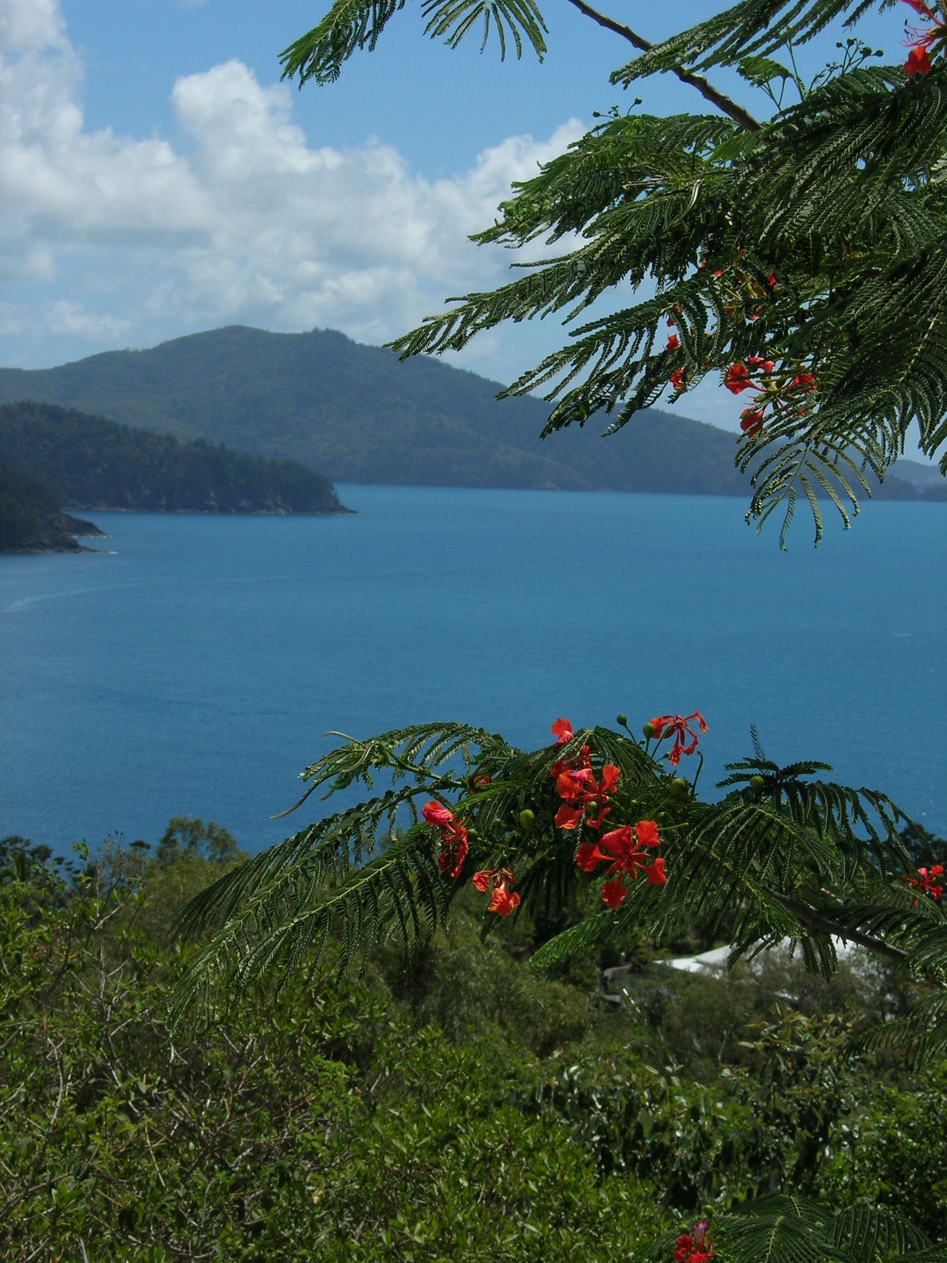 https://mdw-travel-data-us-east-1.s3.amazonaws.com/img/country/Australia/Hamilton-Island/img_02.jpg