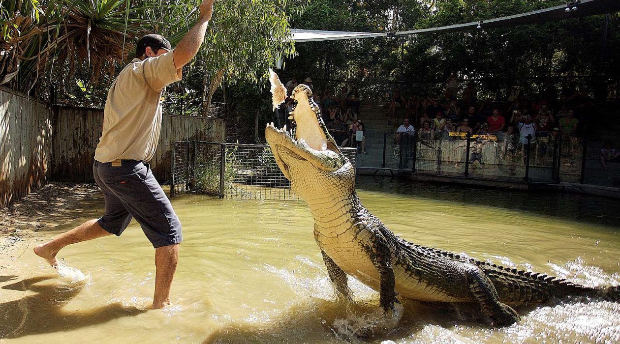 https://mdw-travel-data-us-east-1.s3.amazonaws.com/img/country/Australia/Hartleys-Crocodile-Adventures/img_03.jpg