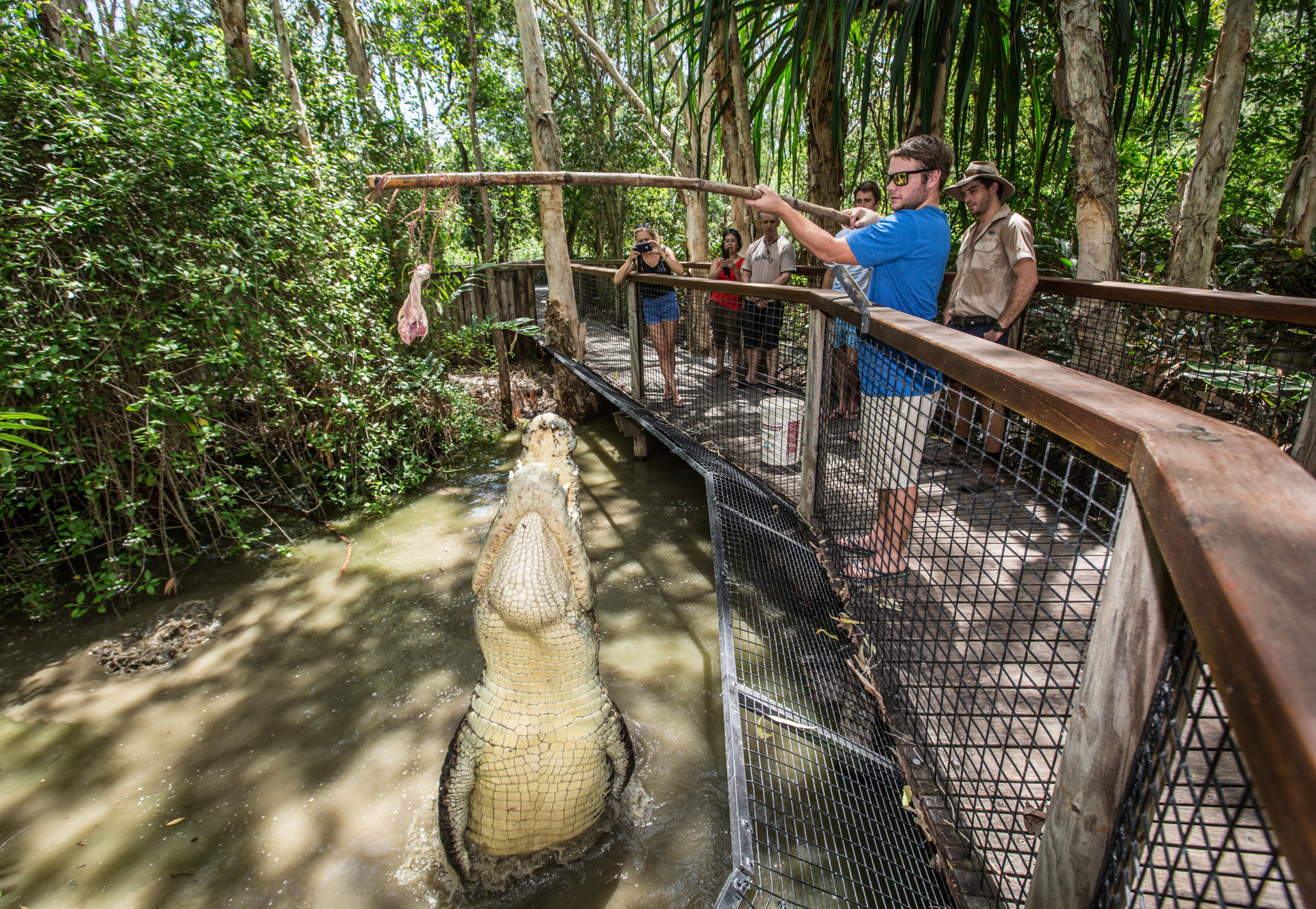 https://mdw-travel-data-us-east-1.s3.amazonaws.com/img/country/Australia/Hartleys-Crocodile-Adventures/img_04.jpg