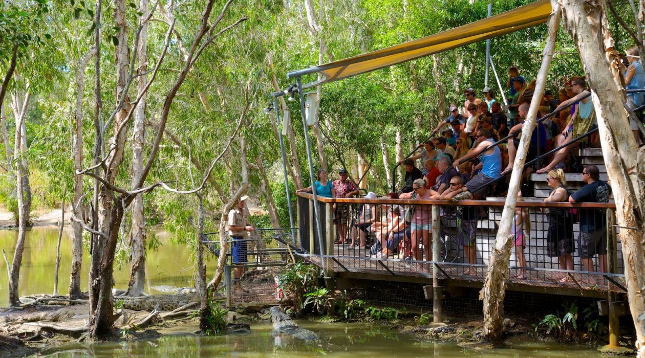 https://mdw-travel-data-us-east-1.s3.amazonaws.com/img/country/Australia/Hartleys-Crocodile-Adventures/img_05.jpg
