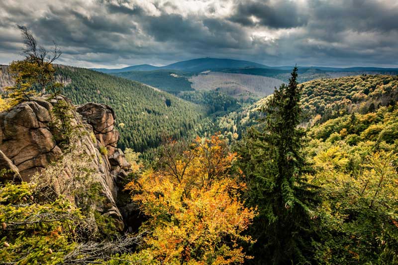 https://mdw-travel-data-us-east-1.s3.amazonaws.com/img/country/Australia/Hartz-Mountains-National-Park/img_05.jpg