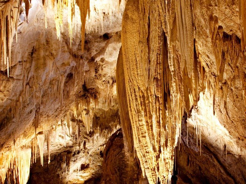https://mdw-travel-data-us-east-1.s3.amazonaws.com/img/country/Australia/Hastings-Caves-and-Thermal-Springs/img_01.jpg