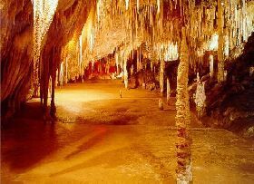 https://mdw-travel-data-us-east-1.s3.amazonaws.com/img/country/Australia/Hastings-Caves-and-Thermal-Springs/img_03.jpg