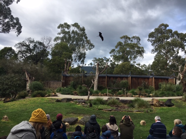 https://mdw-travel-data-us-east-1.s3.amazonaws.com/img/country/Australia/Healesville-Sanctuary/img_03.jpg