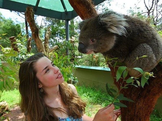 https://mdw-travel-data-us-east-1.s3.amazonaws.com/img/country/Australia/Healesville-Sanctuary/img_04.jpg