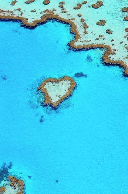 https://mdw-travel-data-us-east-1.s3.amazonaws.com/img/country/Australia/Heart-Reef/img_01.jpg