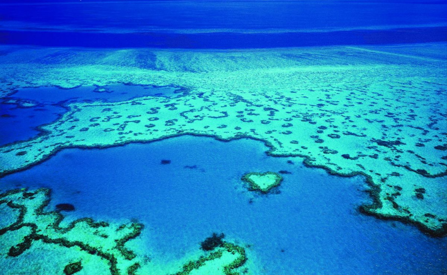 https://mdw-travel-data-us-east-1.s3.amazonaws.com/img/country/Australia/Heart-Reef/img_02.jpg