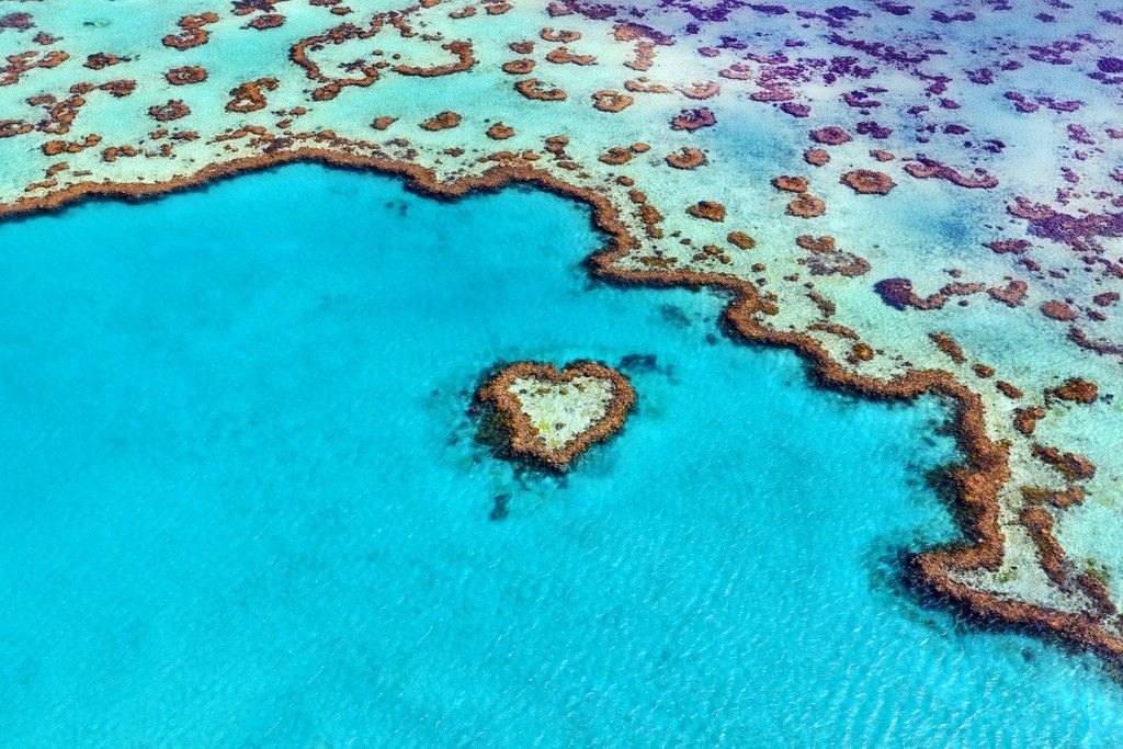 https://mdw-travel-data-us-east-1.s3.amazonaws.com/img/country/Australia/Heart-Reef/img_05.jpg